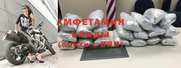 крисы Алзамай