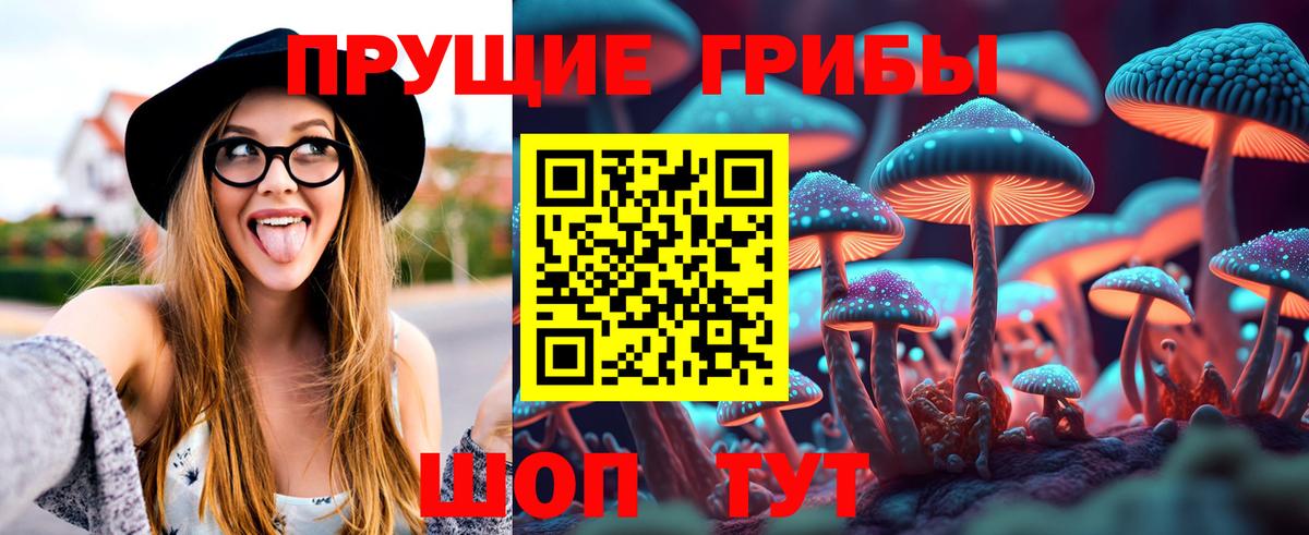 Псилоцибиновые грибы Cubensis Балашиха