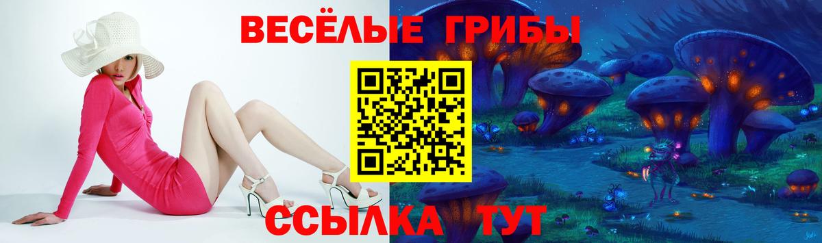Галлюциногенные грибы GOLDEN TEACHER  Вход с VPN  Псилоцибиновые грибы мухоморы  Балашиха 